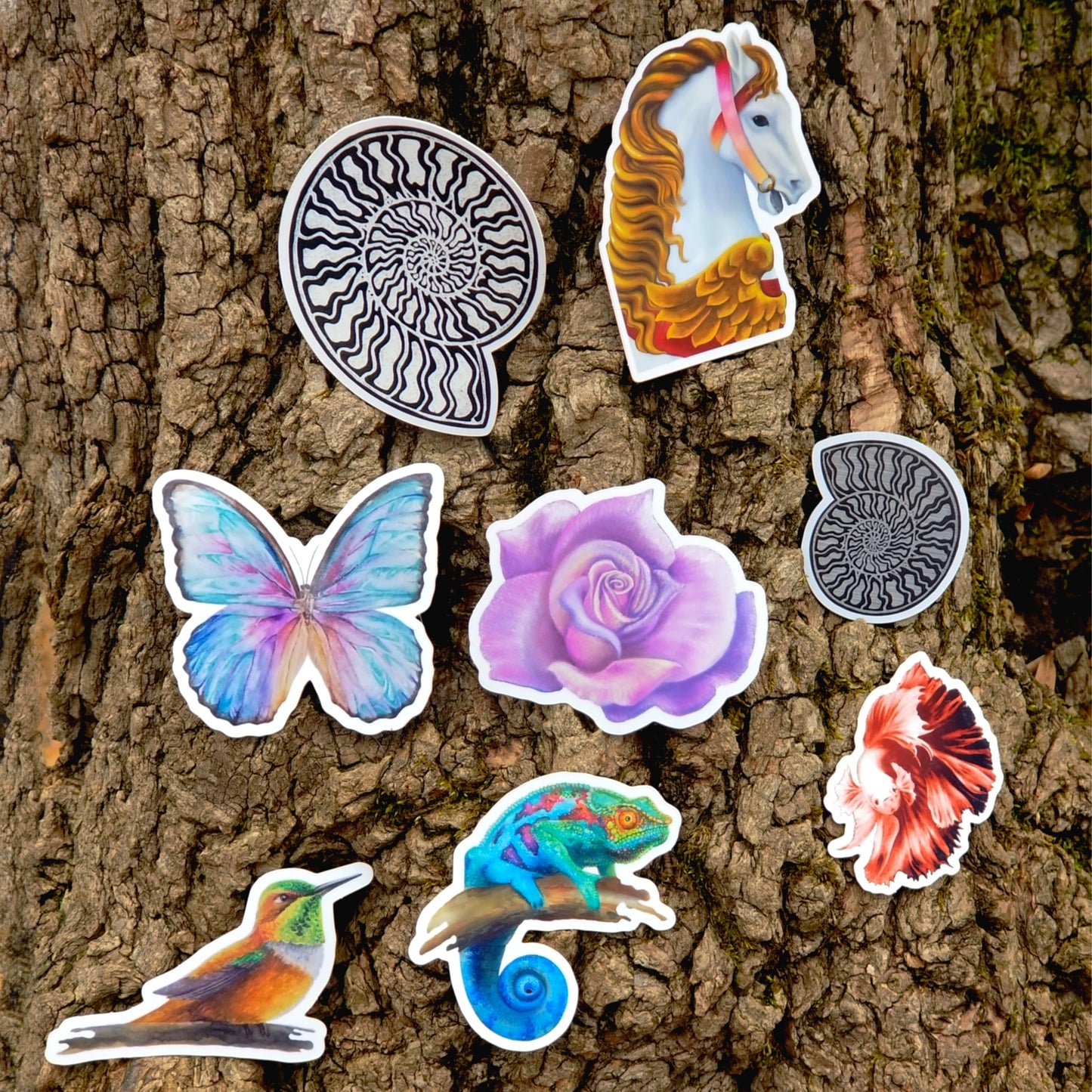 Whimsy 8-Pack
