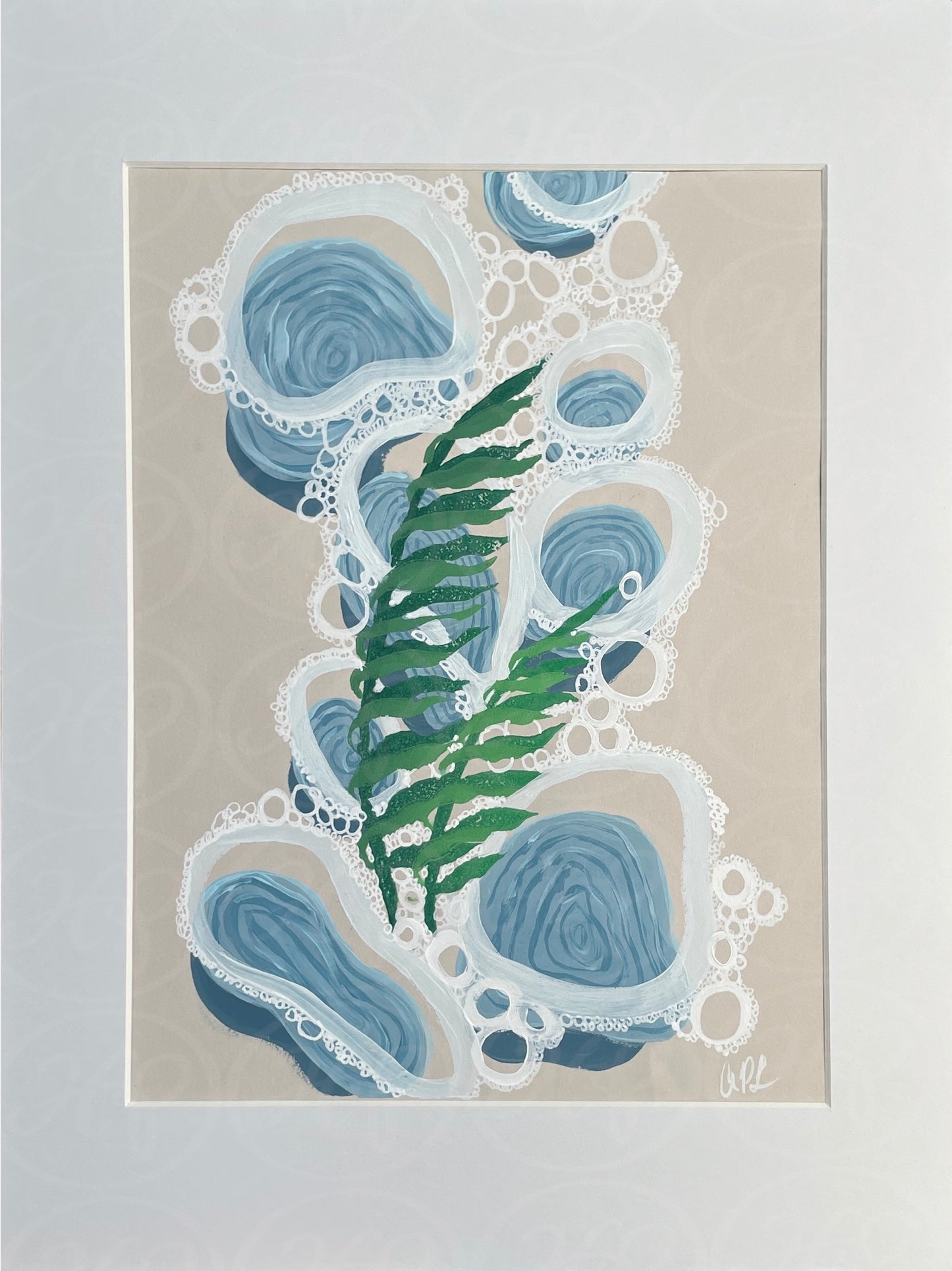 Rippled Kelp