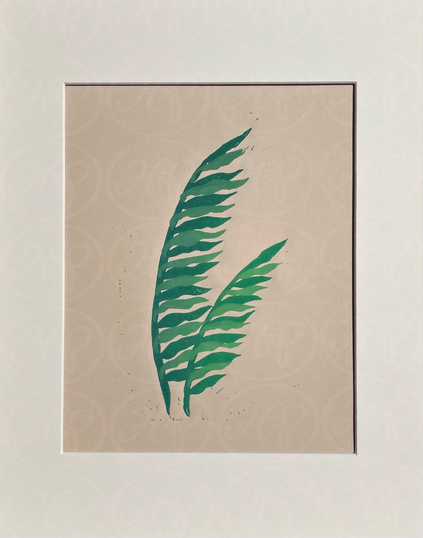 Kelp