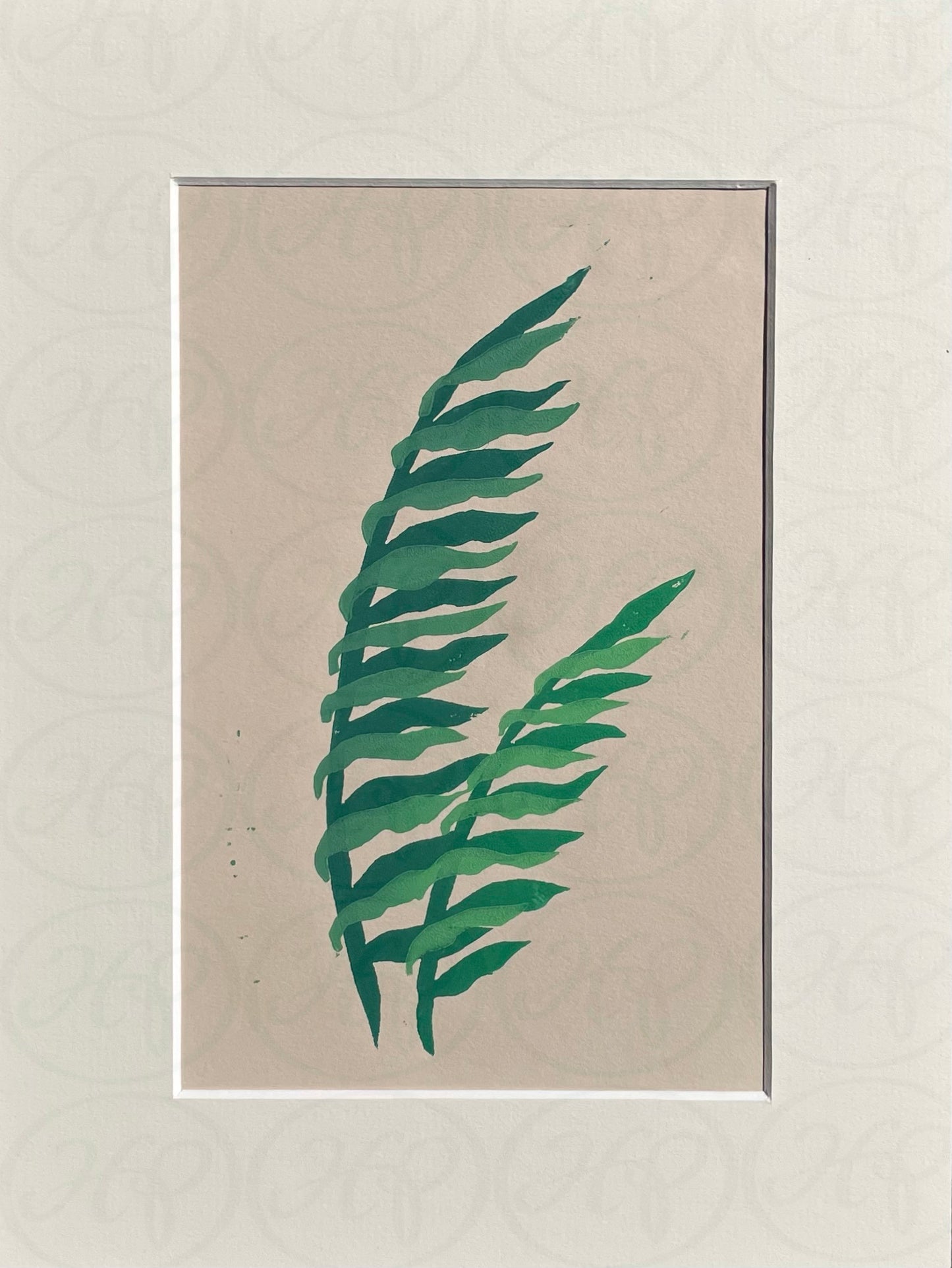 Kelp