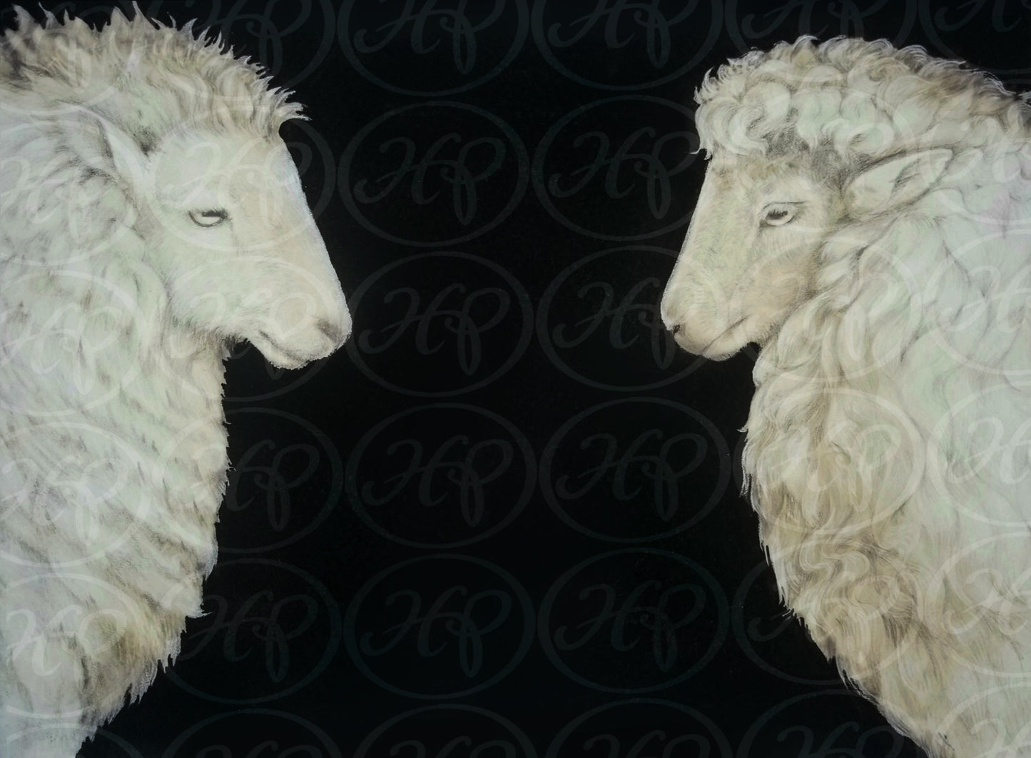 The Sheep