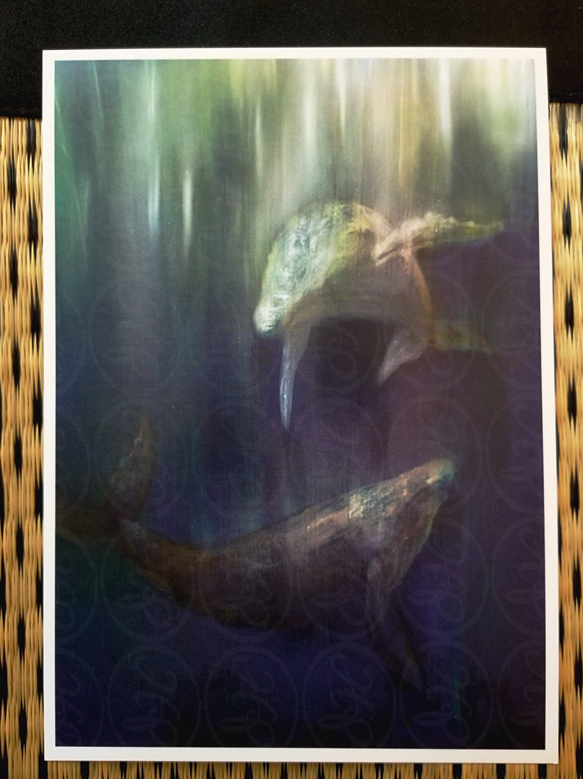 Whales Meeting