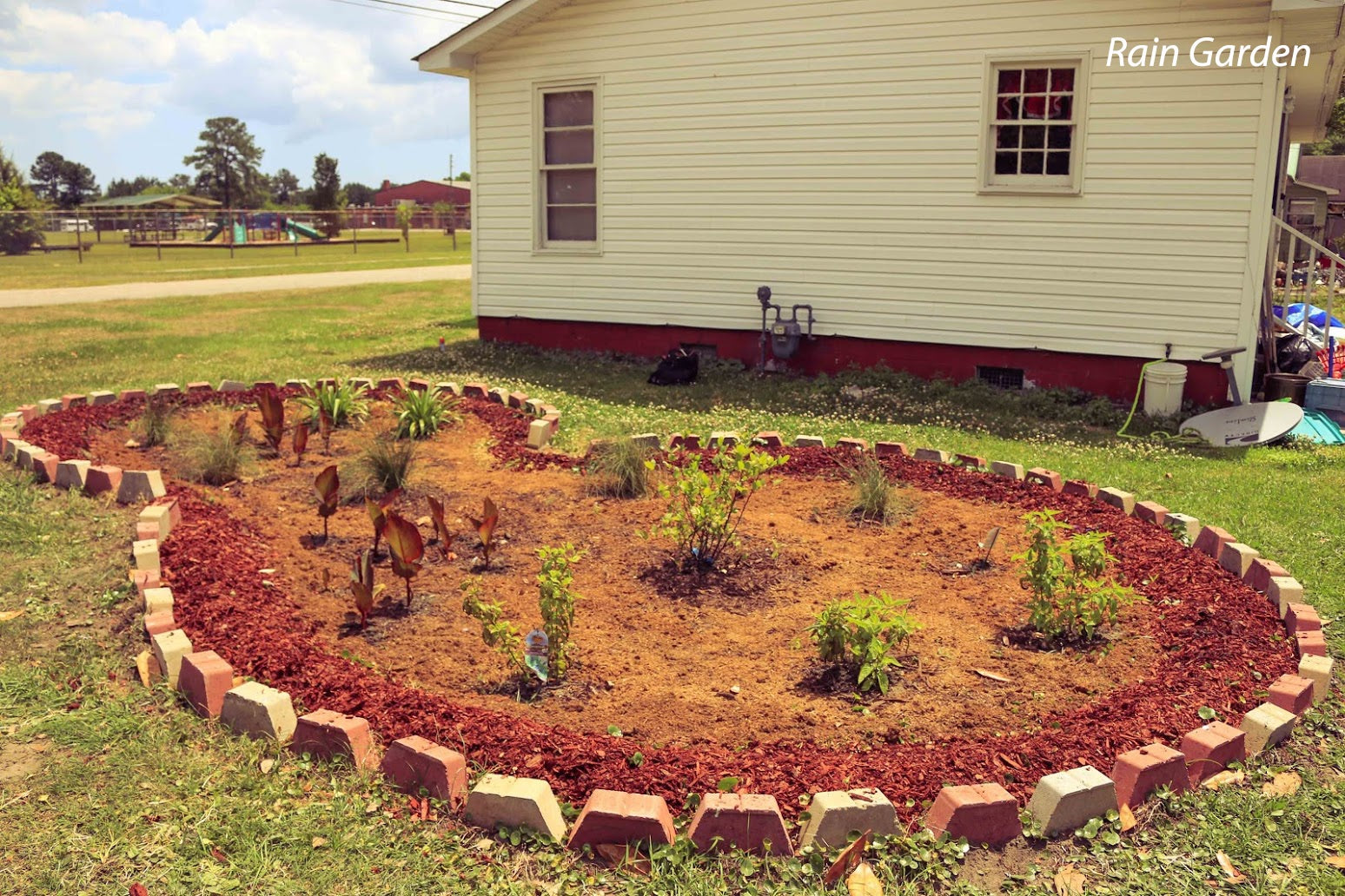 Rain Garden