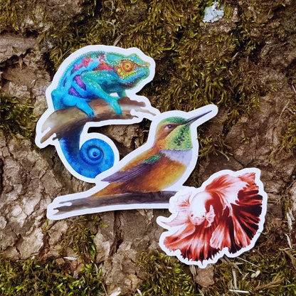 Animal 3-Pack