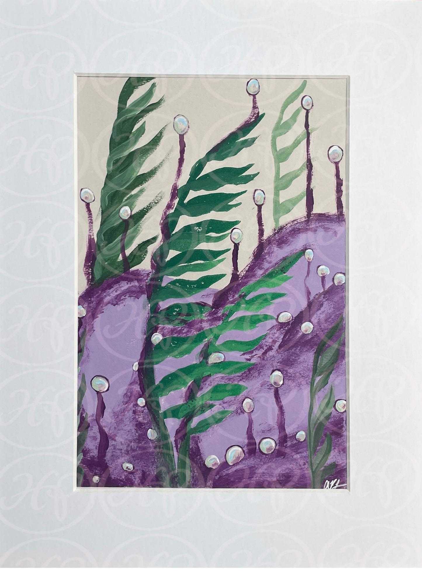 Purple Algae Kelp