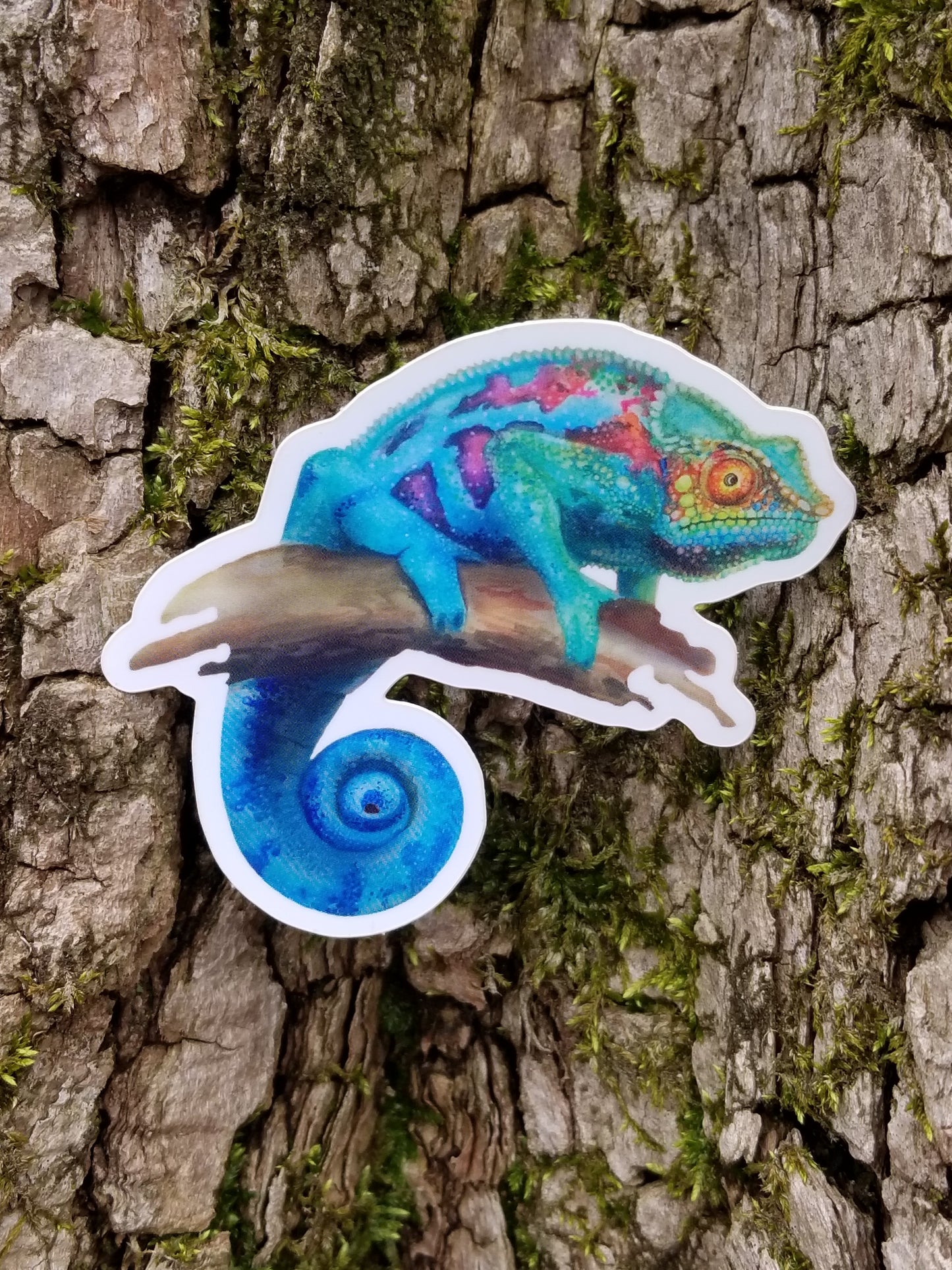 Animal 3-Pack