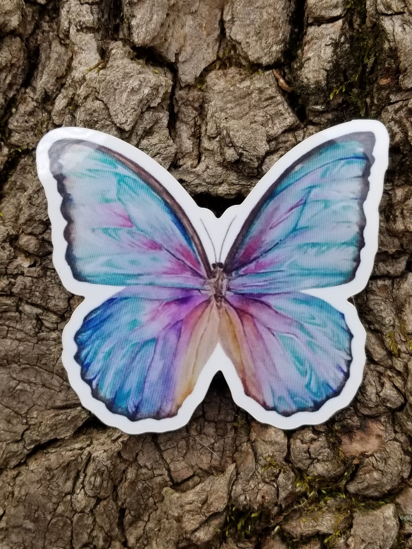 Whimsy 8-Pack