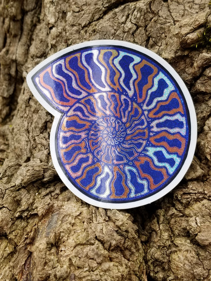 Ammonite 3-Pack
