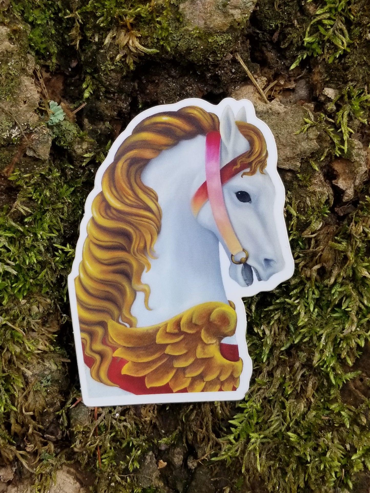 Whimsy 8-Pack